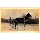 Harness Racer in Winter Real Photo