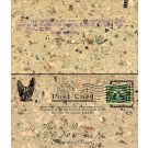 Macerated Money Used Virginia
