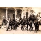 Hawaiian Princess Horse Real Photo