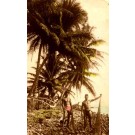 Hawaiian Fishing Real Photo Hand-Tinted