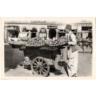 Vegetables Seller India Horse Real Photo