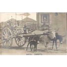 Bull Donkeys Carriage Napoli RP