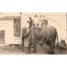 Elephant Cohen India Circus RP