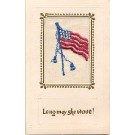 American Flag Embroidered Silk