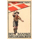 Danish Boy Scouts