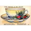 Tea Cup Fold-Out
