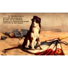 Dog Wounded Flag Real Photo