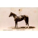 Jockey on Horse Red Dome Real Photo
