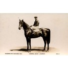 Jockey on Horse Real Photo