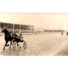 Harness Racer on Track Real Photo