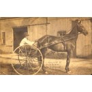 Harness Racer by Barn Real Photo