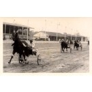 Harness Racers at Race Track Real Photo