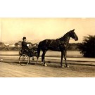 Harness Racer on Road Real Photo