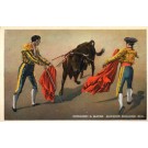 Bull Matadors Bullfighting