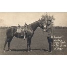 Soldier with Horse Real Photo