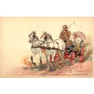 Lady Riding in Horse-Drawn Wagon