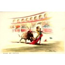 Toreador Stubbed Bull Bullfighting