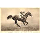Jockey Donoghue on Horse Lancegaye in Gallop