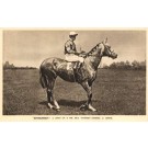 Jockey J. Leach on Ethnarch Horse