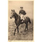 Jockey Carslake on Zambo Named Horse