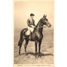 Jockey on Horse Aloysia