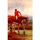Hunter on Horse Dogs Foxhounds Sports