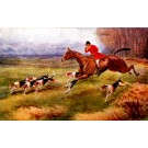 Hunter On Horse Running Dogs Foxhounds