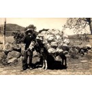 Mexican Child by Donkey Loaded with Baskets RPPC