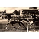 Harness Racer Leading Race Real Photo