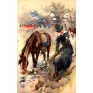 Lady Looking at Dog Collie Horse Drinking Water