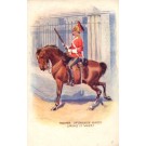 Guard Dragoon on Horse by Gate