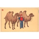 Manchuria Woman between Camels