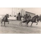 Harness Racers on Track Real Photo