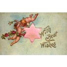 Cupids in Air Flower Roses Fabric Star