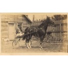 Harness Racer by Barn Real Photo
