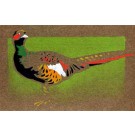 Pheasant Woodblock