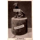 Cheshire Cat on Cheese Real Photo