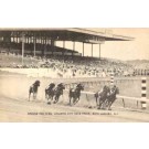 Horses Around Turn Atlantic City NJ Race Track