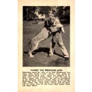 Trainer Glick Wrestling with Lion