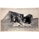 Navajo Indian Women Shearing Sheep Real Photo