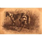 Two English Fox Hounds