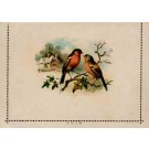 Emberizines Birds on Branch eLtter Card
