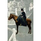 Lady on Brown Horse with Short Tail