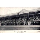 Dublin Horse Show 1904 Grand Stand