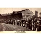 Dublin Horse Show 1907 View in Enclosure