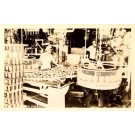 Workers at Pineapple Cannery Real Photo