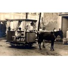 Horse-Drawn Trolley RP Puerto Rico