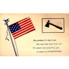 Ax Flag Washington Patriotic Novelty