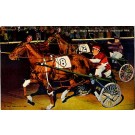 Horse Harness Racing Linen