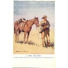 Boer War Horse English